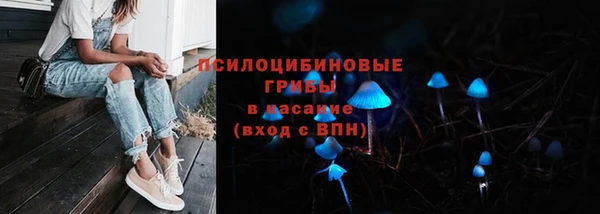 трава Абдулино