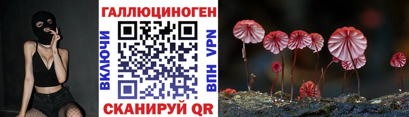 купить наркотики цена  Южно-Сухокумск  Галлюциногенные грибы Psilocybine cubensis 